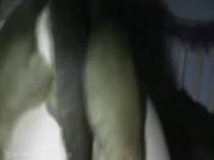 In the Bestiality episode, a bashful amateur man is raped by a K9 while in the doggie position.